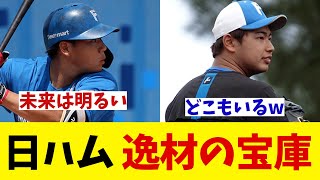 日本ハムは逸材の宝庫！？【野球情報】【2ch 5ch】【なんJ なんG反応】【野球スレ】