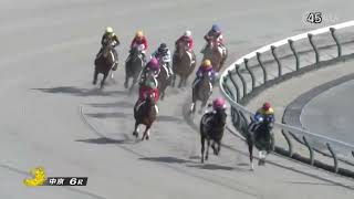 2025年1月19日中京6R 3歳1勝クラス　ダート1200m ペイシャケイプ