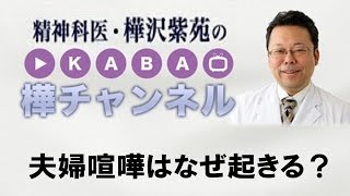 夫婦喧嘩をなくす方法【精神科医・樺沢紫苑】