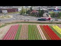 dronebeelden van eerste paasdag in lisse omroep west