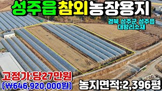 NO:1-961번#성주군땅.성주땅.성주군부동산.성주부동산.성주군성주읍대황리참외농장용지.성주군성주읍참외농장부지.성주군성주읍참외농지.성주군성주읍참외논.성주군참외농장용지.성주군참외농장지