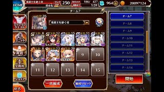 【千年戦争アイギス】荒ぶる魔獣の森 - 神級EX：501 [9人]