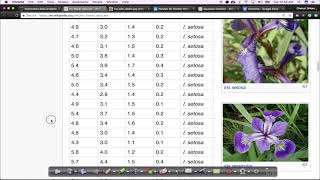 Introduction to IRIS dataset and 2D scatter plot