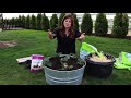 Planting Strawberries in Containers for Beginners! 🍓🤤 Garden Answer