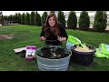 Planting Strawberries in Containers for Beginners! 🍓🤤 Garden Answer
