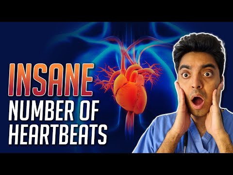 How many heartbeats is this in a day Brainly?