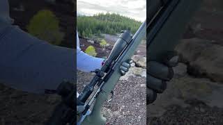 Howa 1500 .243 Win Smooth as butter