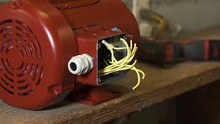 Leeson Motors - 1 HP Big Red Farm Duty 56 Frame Boat Lift Motor - 110v Wiring