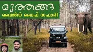 Wayanad Muthanga forest wildlife | ഫോറസ്റ്റ് ലൂടെ ഒരു യാത്ര MVVLOGS