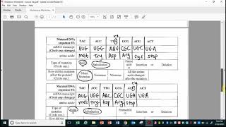Answer Key for the Mutations Worksheet