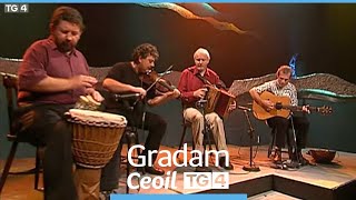 Máirtín O'Connor, Tommy Hayes, Cathal Hayden \u0026 Garry O'Briain | Gradam Ceoil TG4 2001