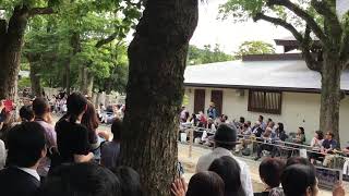 2017年鎌倉八幡宮崇敬者大祭流鏑馬神事 平騎射射手(フリッカ)