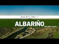 Grape Varieties - Albariño Intermediate Version ideal for WSET Level 2 Wine