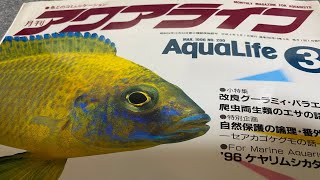 【雑誌レビュー】月刊アクアライフ　１９９６年３月号　マラウイシクリッド特集　【熱帯魚】