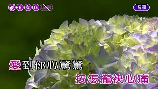 愛到才知痛~黃乙玲~女G調~伴奏~導唱丙