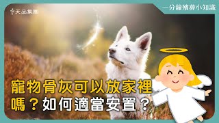 【天品生命小知識】寵物骨灰可以放家裡嗎？如何適當安置？🐶🐱