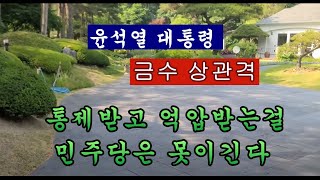 금수상관격 윤석열기질 민주당 못이긴다.