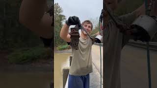Giant Magnet Fishing! #magnetfishing