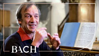 Mortensen on Bach Cantata BWV 156 | Netherlands Bach Society