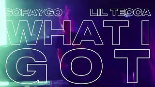 SoFaygo -What I Got ft. Lil Tecca (Official Visualizer) [Leak]