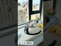 🥰automatic electric baby swing cradle😍