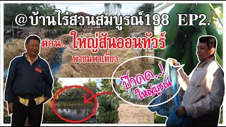 เยี่ยมชมบ้านสวนผสมผสาน พอเพียงและยั่งยืน โดย ใหญ่สันต์ พาชมพาเที่ยว   Ep2.เรื่องเล่าข่าวไทยบ้าน