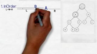 Inorder Preorder Postorder Binary Tree Traversal using Animation | Data Structure