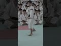 Breathtaking Display of the Martial Art of Shorinji Kempo