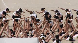 2003 筑紫丘高校大運動会 黄創作ダンス