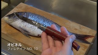 オピネル フィレナイフ No.10 で 50cmの鯛を捌く