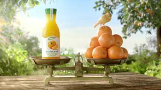 Publicité jus d'oranges pressées innocent