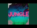 Jungle (Preview)