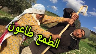 الشيباني زاد فالارض ديالي و ضربني  ، هادشي علاش كطيح الروح