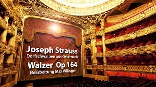 Joseph Strauss Dorfschwalben aus Österreich ,Bearbeitung Max Villinger Штраус Деревенские ласточки