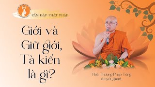 VĐPP - Giới và giữ giới, tà kiến là gì?  Vì sao bị đọa vào cảnh khổ - HT Pháp Tông thuyết giảng