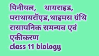 पिनीयल,थायराइड, पराथायरॉएड,थाइमस ग्रंथि रासायनिक समन्यव एवं एकीकरण class 11@BantysirBiology