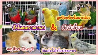 อัปเดตราคานก สัตว์เลี้ยง จตุจักร มีนบุรี สามารถจัดส่งได้ทั่วประเทศ ร้านไอซ์ มีนบุรี