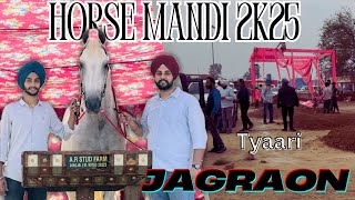 Horse Mandi Jagraon di Tyaari✅//New Vlogger Bnata Ginda😅