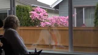 Pushing Boundaries 2014 Video