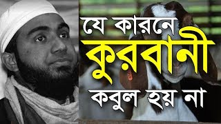 Qurbani | Kobul | Hoyna | যে কারনে কুরবানী কবুল হয় না। সিফাত হাসান | Sifat Hasan