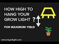 How Far Should Grow Lights Be From Plants? Learn How high To Hang A Grow Light