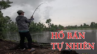 KHUI HỒ CÂU CÁ TẠP BÁN TỰ NHIÊN Ở THẠNH PHÚ | CÁ LÊN CẢ BẦY