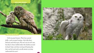 National Geographic Little Kids Hoot, Hoot, Hooray, a story about a little Owl