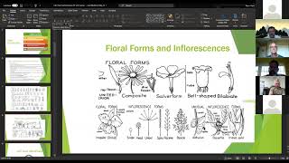 LIAF Plant ID Review Session - Summer 2020