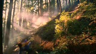 Hot Rod forest dance scene