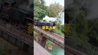 十分蒸汽火車