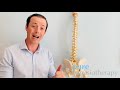 pure physiotherapy thoracic mid back pain overview