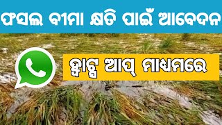 ଫସଲ କ୍ଷତି ପୂରଣ ପାଇଁ ଆବେଦନ || crop loss apply online