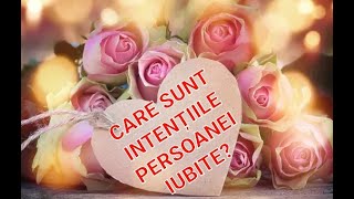 🌞🔥💘🎯 CARE SUNT INTENȚIILE PERSOANEI IUBITE? CE SIMTE? CE ÎȘI DOREȘTE? CE ÎI BLOCHEAZĂ INTENȚIILE?