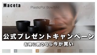 公式プレゼントキャンペーン！キャンペーンの詳細とMacetaで爆買いしたものを紹介！鉢にもこだわっておしゃれに植物を楽しもう！【観葉植物】